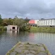 キッチンガーデン　N