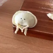 ころすけの画像