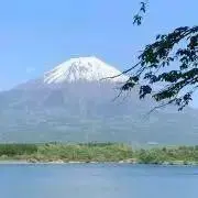 Safa＊の画像