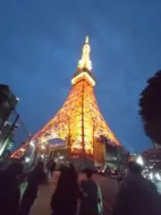 島バナナの画像
