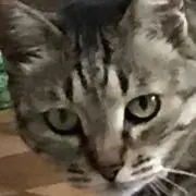 haruの画像