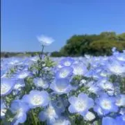 Yuu 24時間以内に発送の画像