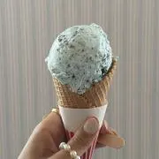 ぽんの画像