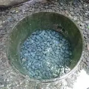 yubaの画像