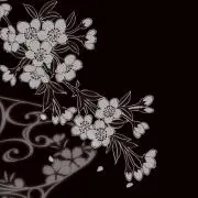 A。