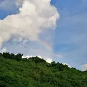 くまくま
