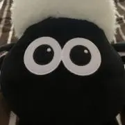 ゆゆの画像