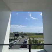 ぬぬの画像