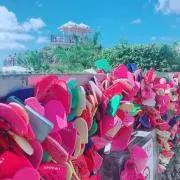 しろたんの画像