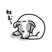 たろの画像