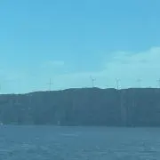 マンモス