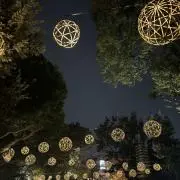 高麗