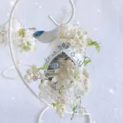 kanonの画像