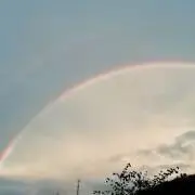 tamaの画像