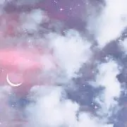 こんちゃんの画像