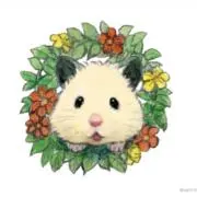 すけ