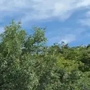 Miの画像