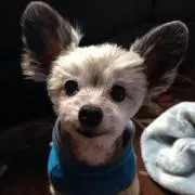 andy_Lの画像