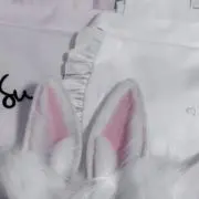 傍線の画像