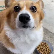 ゆうの画像