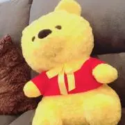 購入前コメントくださいの画像