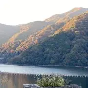 nacoの画像