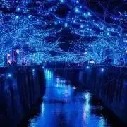 ryukaの画像