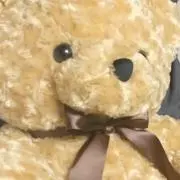 しおの画像