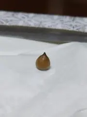 里香の画像