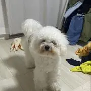 bule skyプロフィール見てくださいの画像