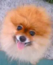 なお