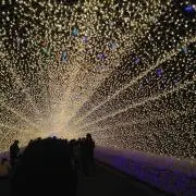 芽