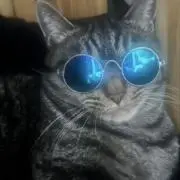 ぬ