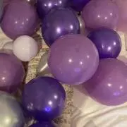 メイの画像