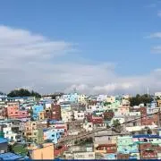 ゆうの画像