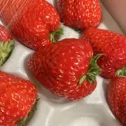 ゆいの画像
