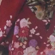 みなみの画像