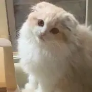 Yunの画像