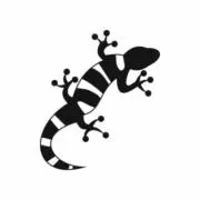 クロノジェネシスの画像