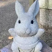 コタロウの画像