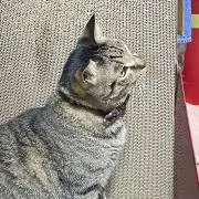 ｍoon*プロフ読んでね*