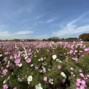 YUKIZUKIの画像