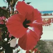 sの画像