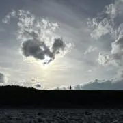 りゅうの画像