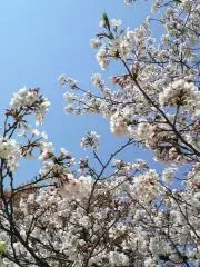 あかたの画像