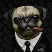 Pug Pug ZEEK