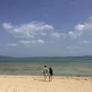 なるとの画像