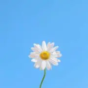 ♡♡♡♡の画像