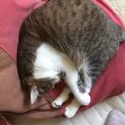 ここ