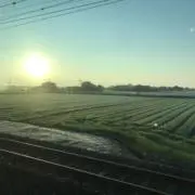 ヤマウチ